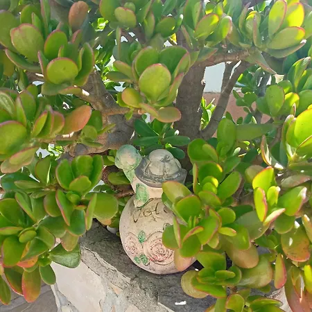 Ante Apartment Zadar