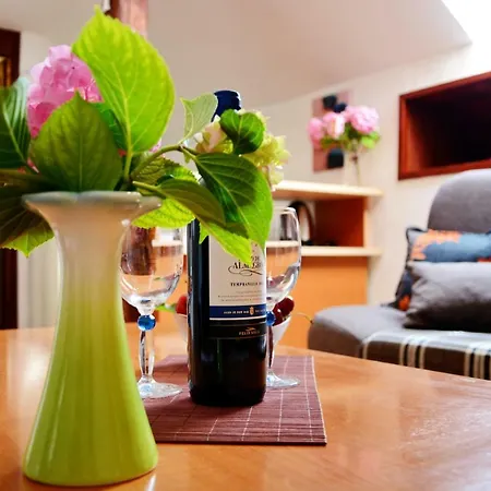 Apartmán Ante